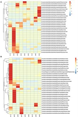 The Gut Viral Metagenome Analysis of Domestic Dogs Captures Snapshot of Viral Diversity and Potential Risk of Coronavirus